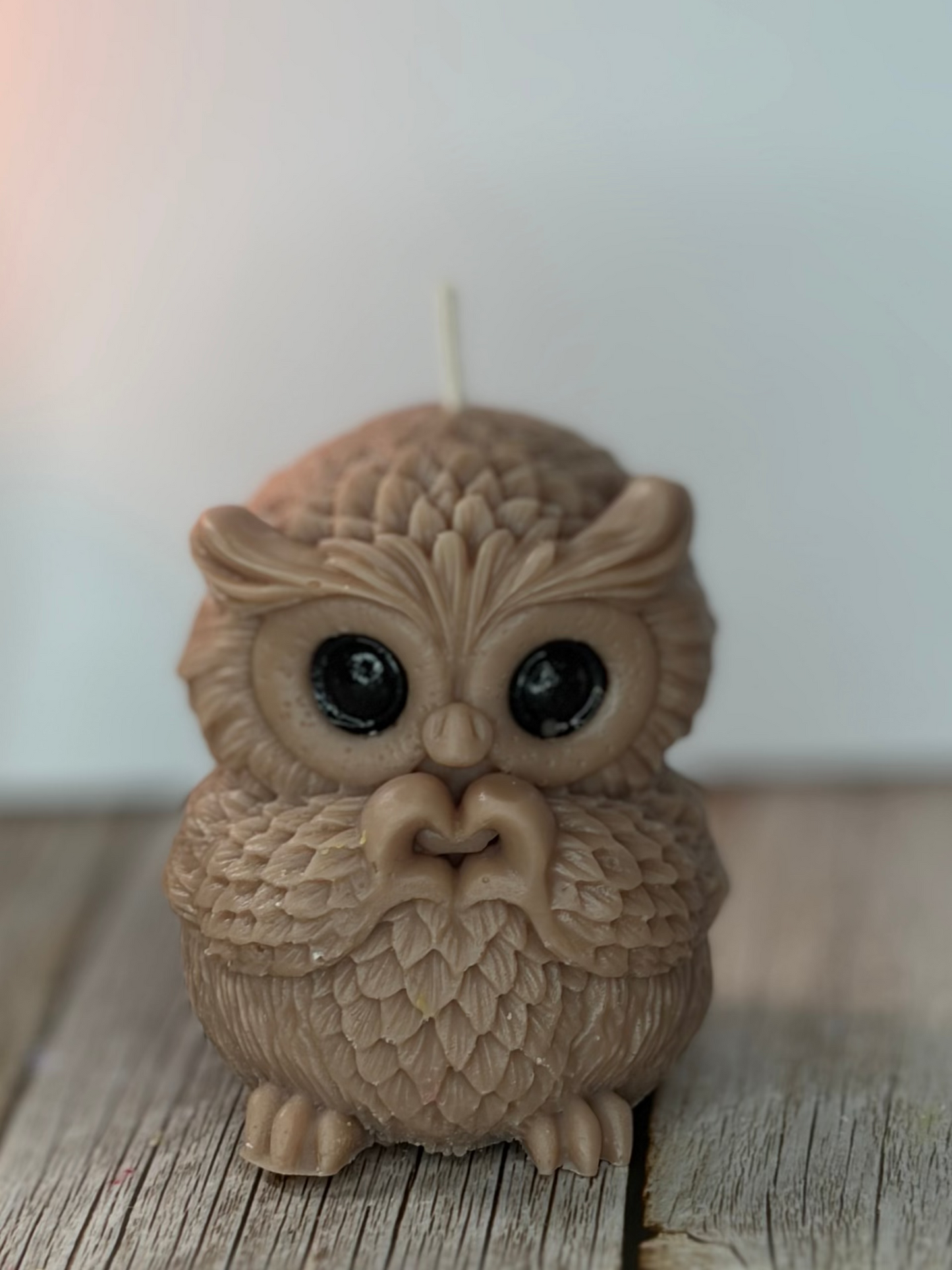 Kleiner Glückskauz 🦉